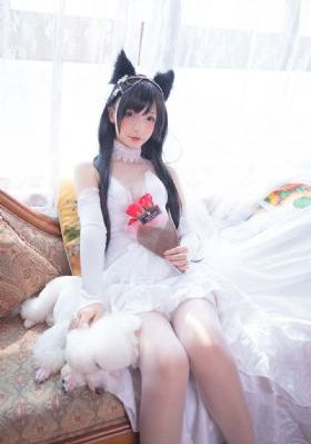 细狗网页版本2端登录入口免费版_BD电影完整版